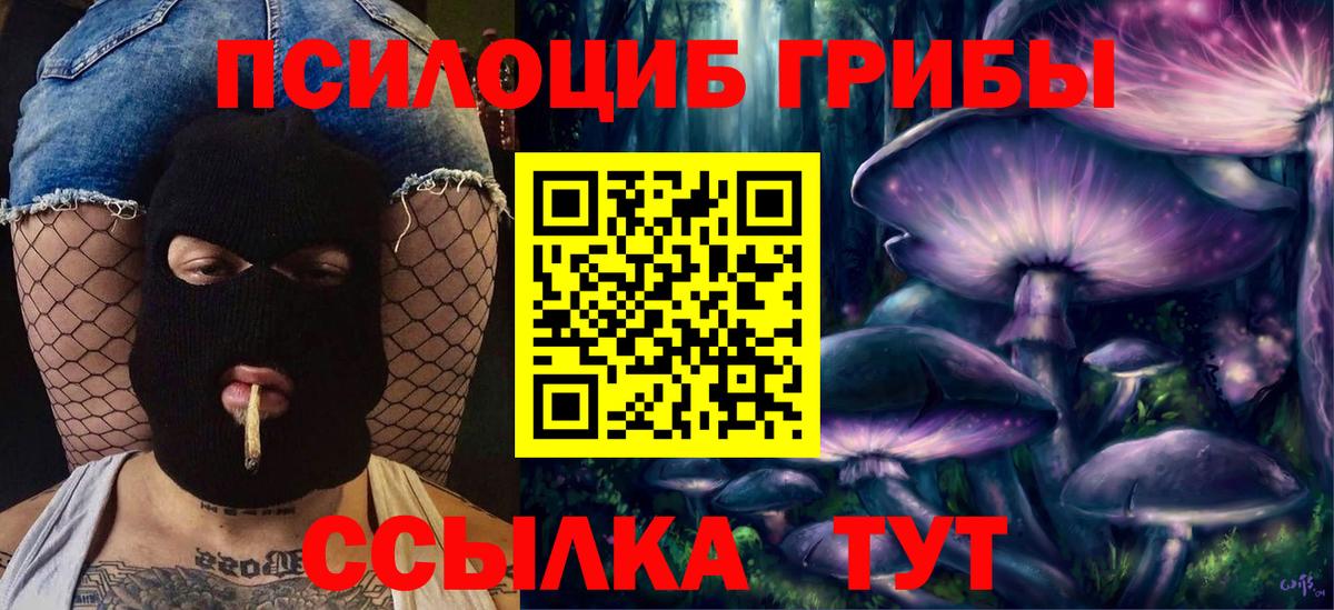 Стрежевой  Псилоцибиновые грибы GOLDEN TEACHER  Псилоцибиновые грибы GOLDEN TEACHER  Вход с VPN 